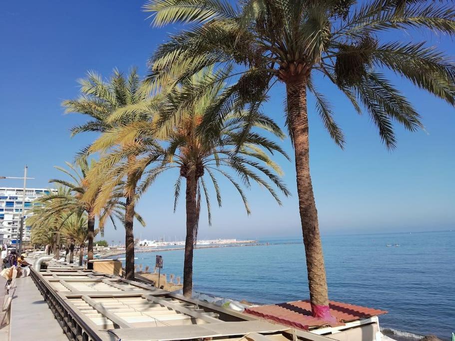 Apartment Center Ricardo Soriano 6 Persons - At 250 M *